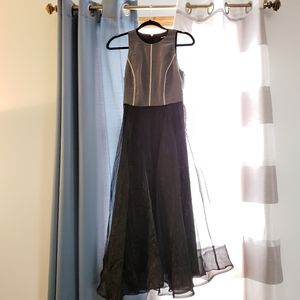 Gianni Bini Organza dress